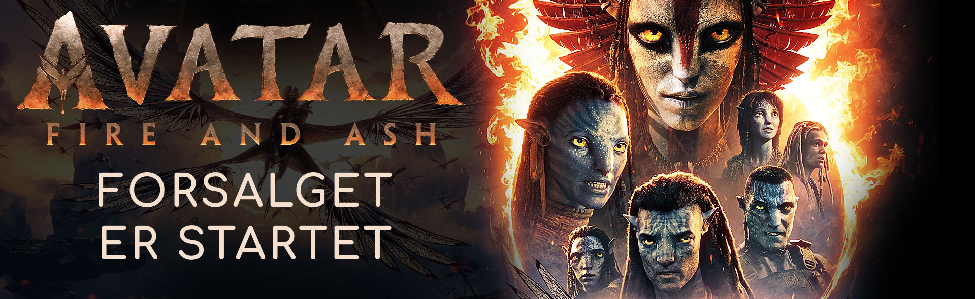 Avatarfireandash.Slm 2